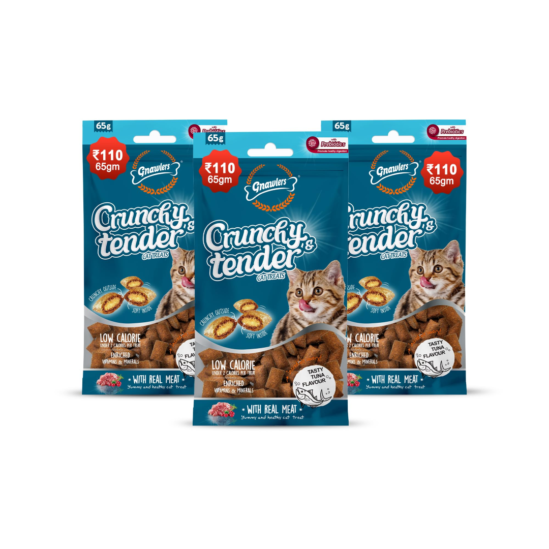 CRUNCHY & TENDER TASTY TUNA FLAVOUR 65GR